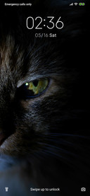 Cat In Dark_3MDS