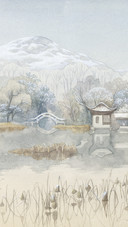 蕩蕩 发现温柔