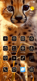 leopard cub