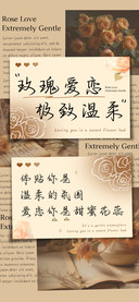 玫瑰爱恋极致温柔
