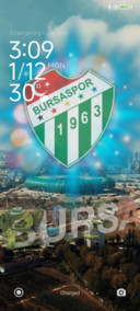 BURSA SPOR