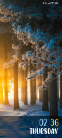 Silent Forest