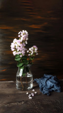 The crape myrtle blooms for a hundred days in midsummer