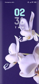 Flower_orchid