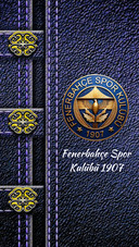 FB FENERBAHCE SPOR 1907