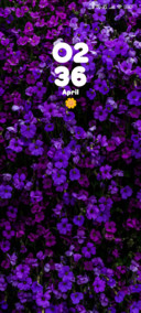 Purple Bloom