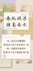乘风破浪肆意生长