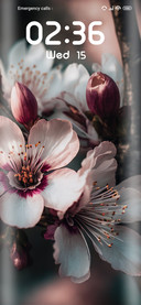 Flower Cherry