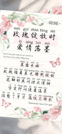 玫瑰绽放时爱情落墨
