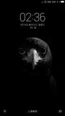 Black Eagle Light