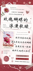 玫瑰蝴蝶的浪漫救赎