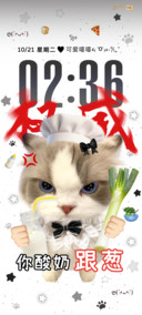 INS小猫搞怪语录
