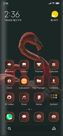 Wildlife_Wild