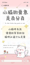 小猫的爱意是百分百
