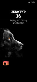 Black Dog