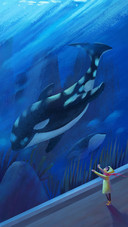 Marine animal killer whale