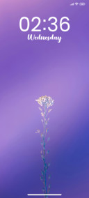 Tilt Plant