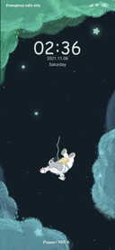 Cat cosmic tour