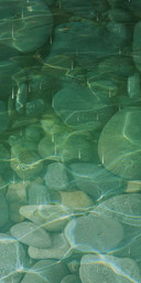 Fish opera lotus