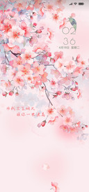 花纷飞