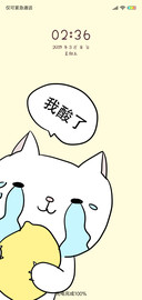 猫咪柠檬G