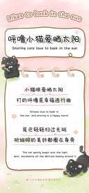 呼噜小猫爱晒太阳