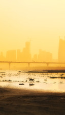 Wuhan has its own sahara desert