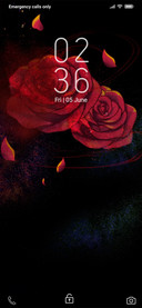 Red Rose_DWM19