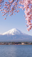 Who can own mount fuji by love
