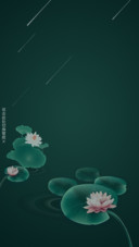 忆莲夏夜