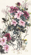 花鸟显情深
