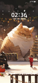 雪地猫咪