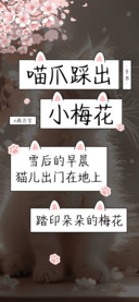 喵爪踩出小梅花