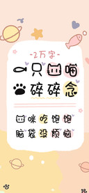 一只猫喵的碎碎念
