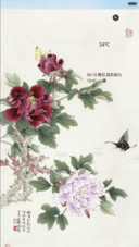 花漾牡丹（古墨版+好评免单）