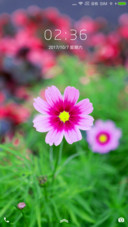 那朵花