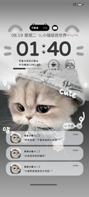 ins风敲可爱小猫