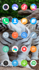 Tiger White
