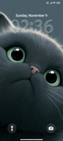 Cutie Meow