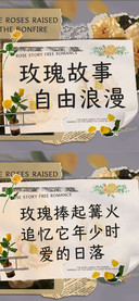 玫瑰故事自由浪漫