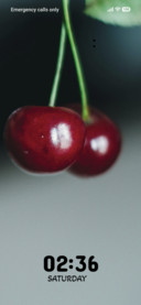 Cherry Bliss