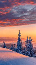 Scenery   (10)
