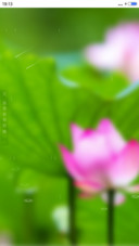 荷（自定义4d动态锁屏+桌面动态）