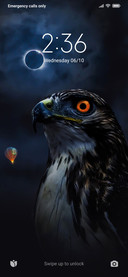 Hawk 