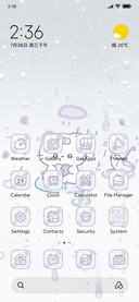 Cat's rainy season