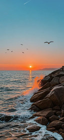 简约 夕阳