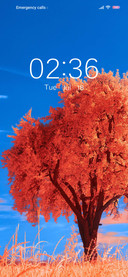 Autumn 