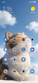 Cute Cat