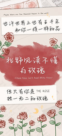 北野风读不懂白玫瑰