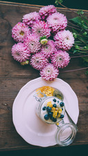 静物花卉19
